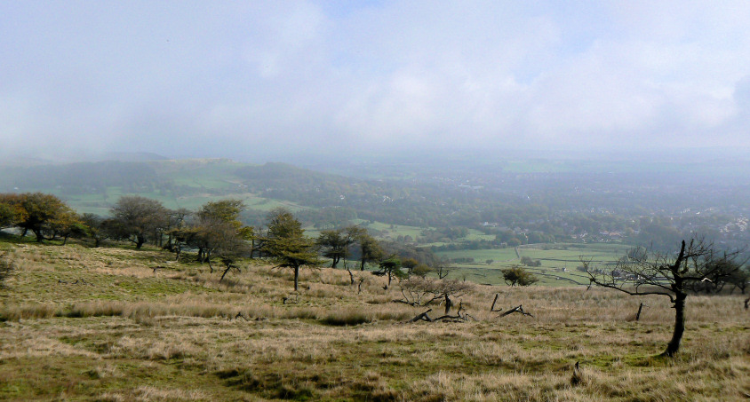 Buxton Buxton